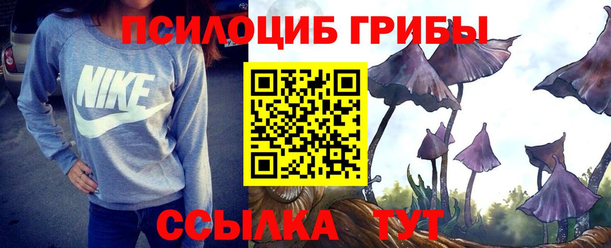 Балашов  цена   Вход с VPN  Псилоцибиновые грибы GOLDEN TEACHER 